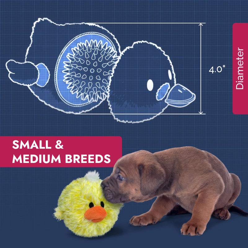 Pet Lou DOG'Z 4 Inch EZ Squeaky Chick Dog Plush Toy, Stuffing-Free Soft Plush, Durable Bouncy Squeaker Ball, Floats in Water, for Small & Medium Dogs, Yellow - Image 4